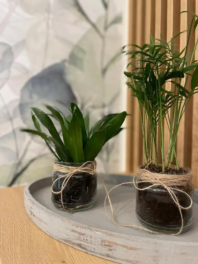 Botanic Nest Panoramic Studio Bucharest