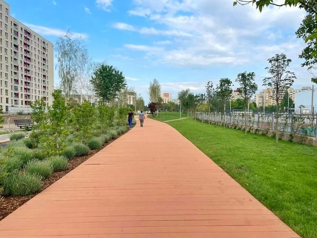 Botanic Nest Panoramic Studio Bucharest